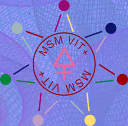 MSM VIT+ Methylsulfonylmethan Pulver